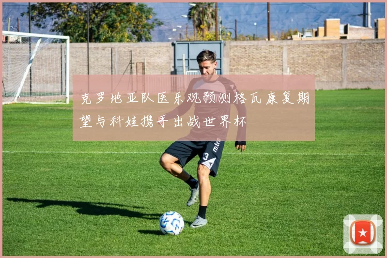 克罗地亚队医乐观预测格瓦康复期望与科娃携手出战世界杯